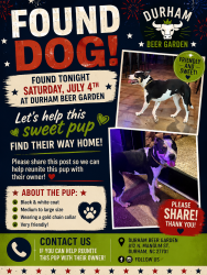 Found/Stray Male Dog last seen Near N Mangum st, Durham, NC 27701