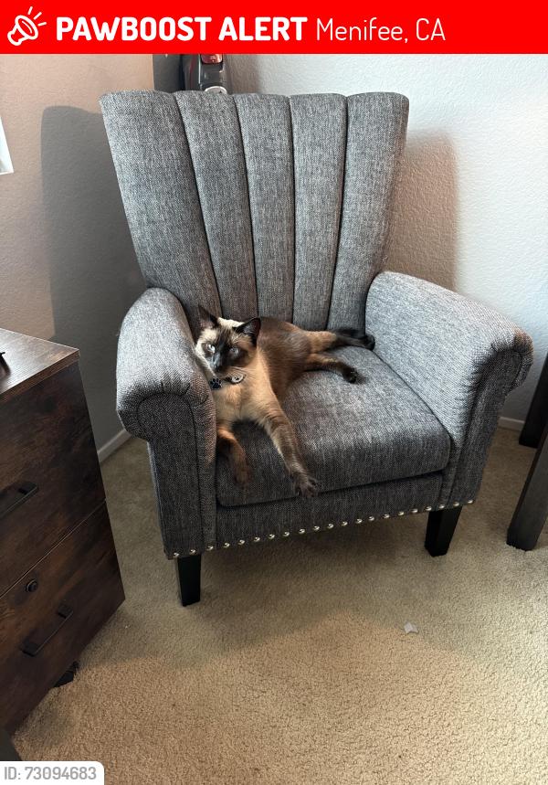 Lost Male Cat last seen W Heritage and Menifee rd, Menifee, CA 92585