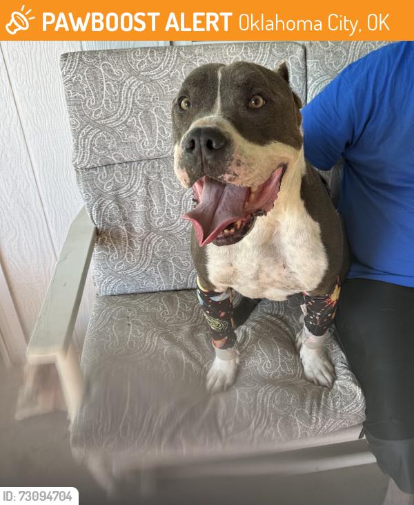 Found/Stray Male Dog last seen Bryant & Eastern, Oklahoma City, OK 73160