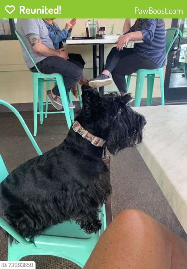Reunited Female Dog last seen Trader Joes, Winter Park, FL 32789
