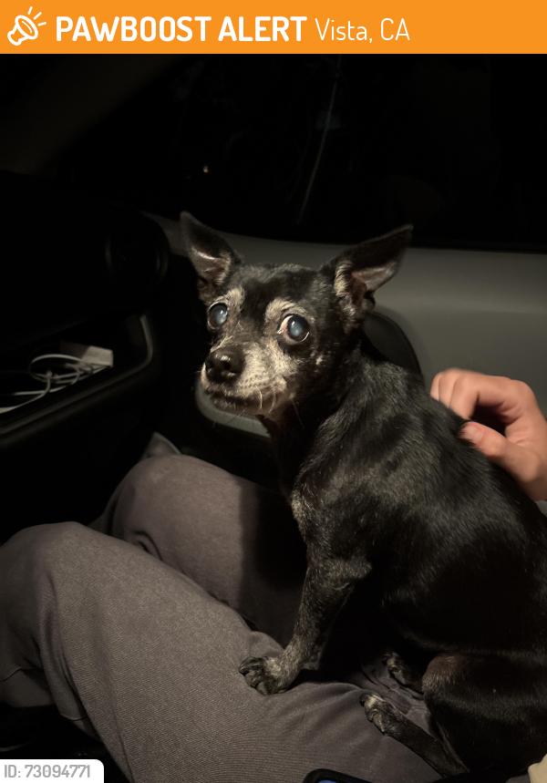 Found/Stray Female Dog last seen Intersection of hannalei and avocado in vista, Vista, CA 92083