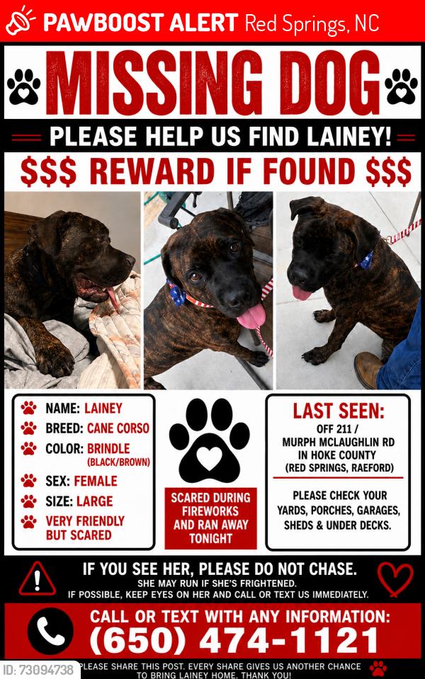 Lost Female Dog last seen Hey 211, Red Springs, NC 28377