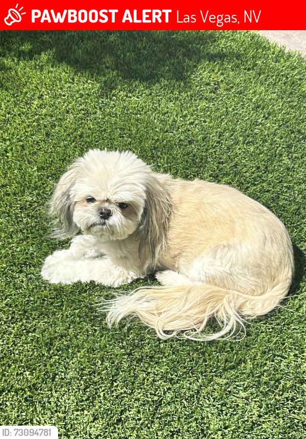 Lost Female Dog last seen Dalecrest Dr and n tenaya, Las Vegas, NV 89129