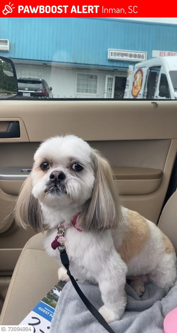 Lost Female Dog last seen Grace Valley Road in Inman, Inman, SC 29349