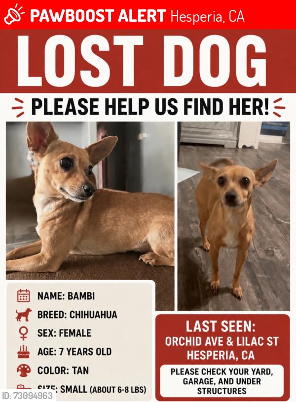 Lost Female Dog last seen orchid ave, Hesperia, CA 92345