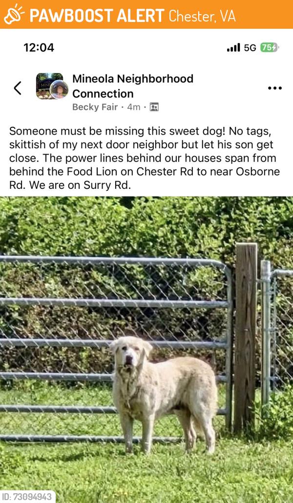 Found/Stray Female Dog last seen Surry Rd near Crofton Rd, Chester, VA 23831
