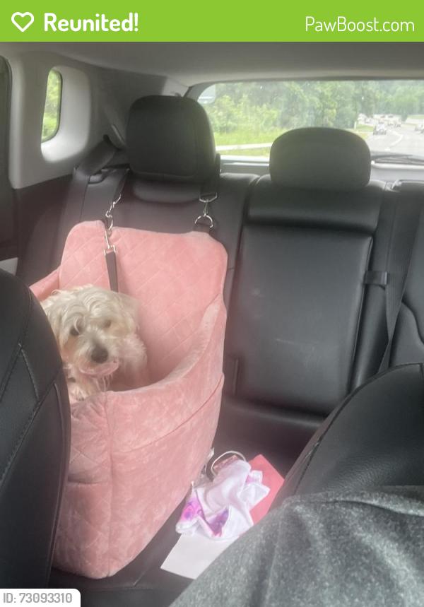 Reunited Female Dog last seen Stratford Ave , Bridgeport, CT 06607