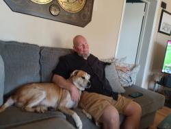 Reunited Male Dog last seen Pinellas pt dr s Roy Hanna Dr , St. Petersburg, FL 33712