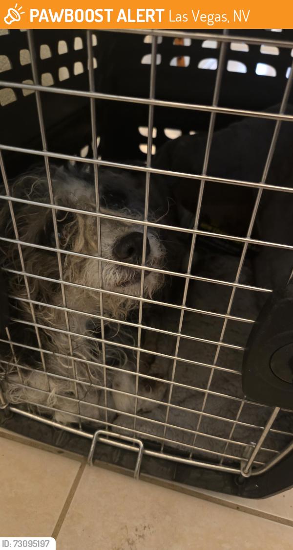 Found/Stray Unknown Dog last seen Crimson Ridge drive off the road, Las Vegas, NV 89130