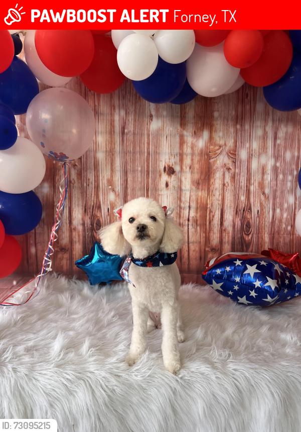 Lost Female Dog last seen Boran Dr., Forney, TX 75126