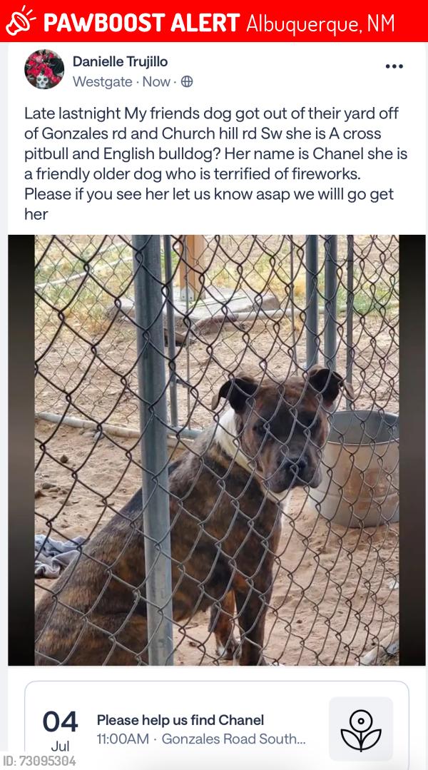 Lost Female Dog last seen 60th st and Gonzales, Albuquerque, NM 87121