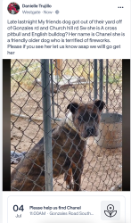 Lost Female Dog last seen 60th st and Gonzales, Albuquerque, NM 87121