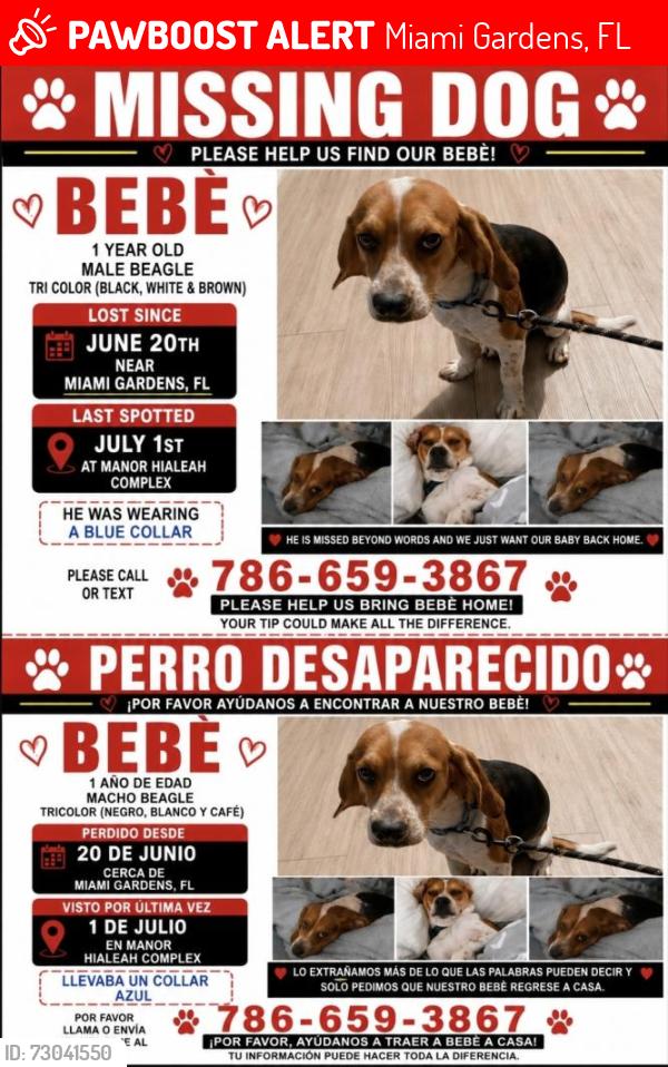 Lost Male Dog last seen Near W 4th Ave, Hialeah, FL 33014, Miami Gardens, FL 33055