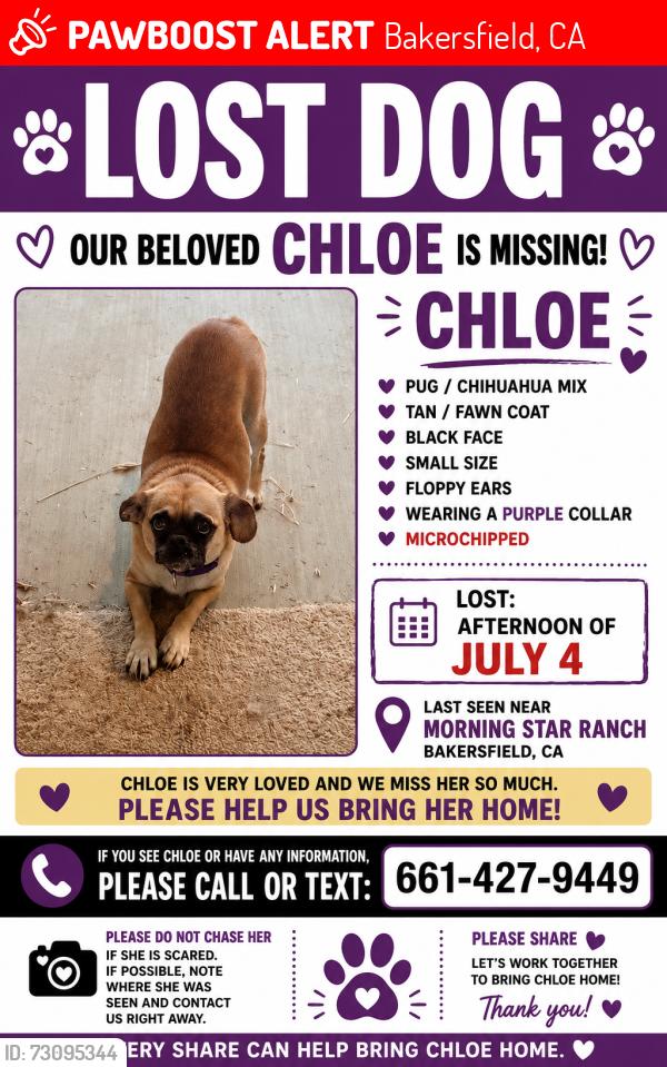 Lost Female Dog last seen Morningstar Ranch, Bakersfield, CA 93306