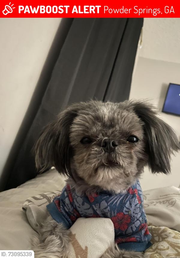 Lost Male Dog last seen Shipp rd, Powder Springs, GA 30127