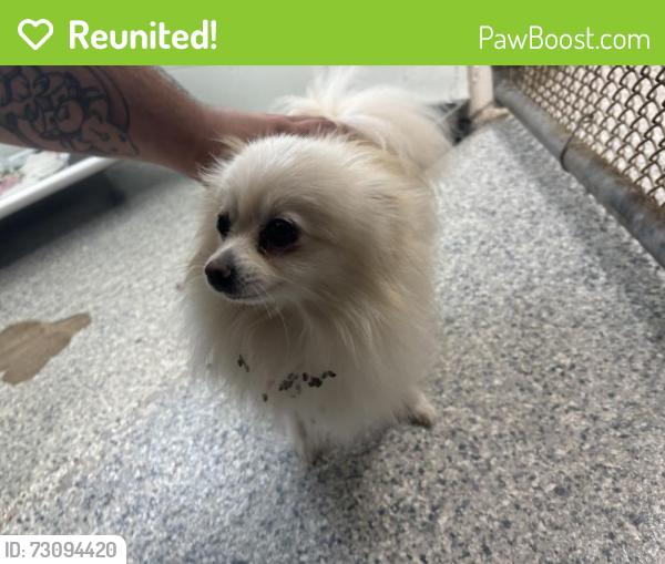 Reunited Unknown Dog last seen Port St Lucie, Port St. Lucie, FL 34986