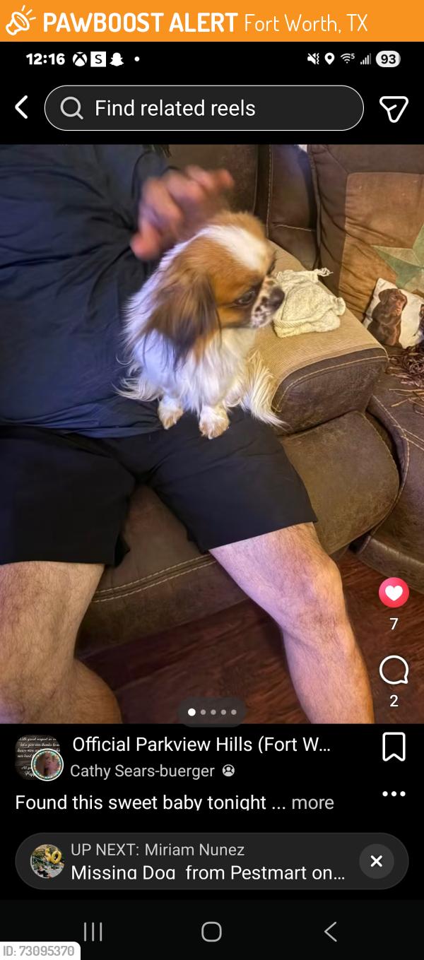 Found/Stray Male Dog last seen Wildcreek way, Fort Worth, TX 76179