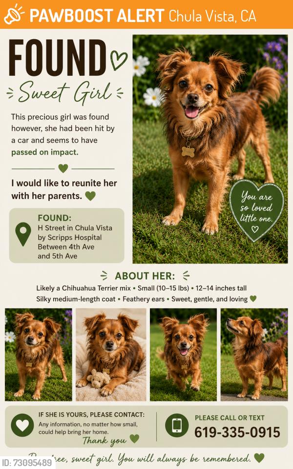 Found/Stray Female Dog last seen Scripps hosp, Chula Vista, CA 91910