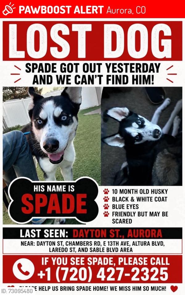 Lost Male Dog last seen 12th and Dayton in aurora co, Aurora, CO 80010