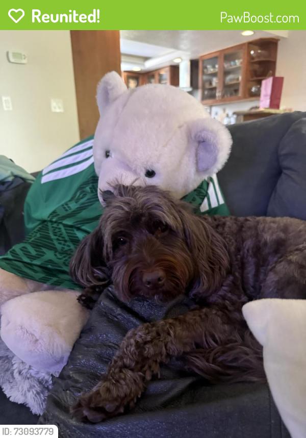 Reunited Female Dog last seen Ocean View Park , Santa Cruz, CA 95062