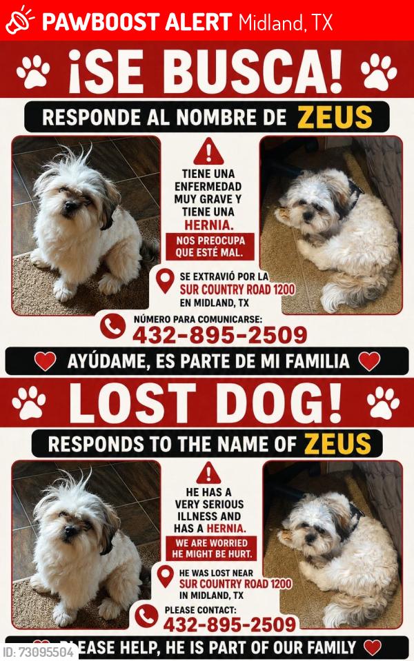 Lost Male Dog last seen Cerca del museo y pasa el I20 x arriba, Midland, TX 79706