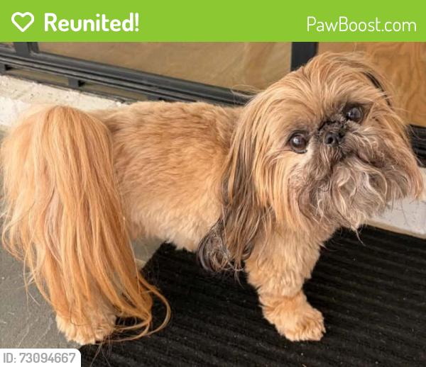 Reunited Male Dog last seen Near Peachtree Circle NE, Atlanta, GA 30309