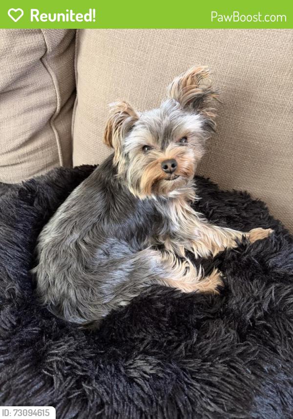 Reunited Male Dog last seen Off Burnt Hickory and Gordon Combs Rd. , Marietta, GA 30064
