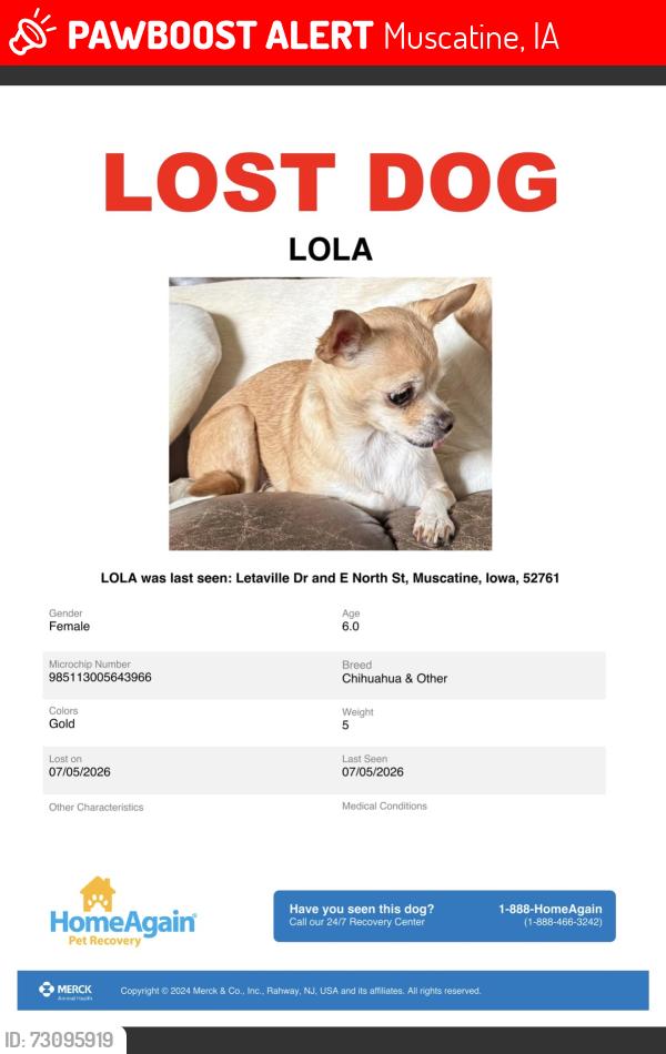 Lost Female Dog last seen Letaville Fruitland Roas, Muscatine, IA 52761