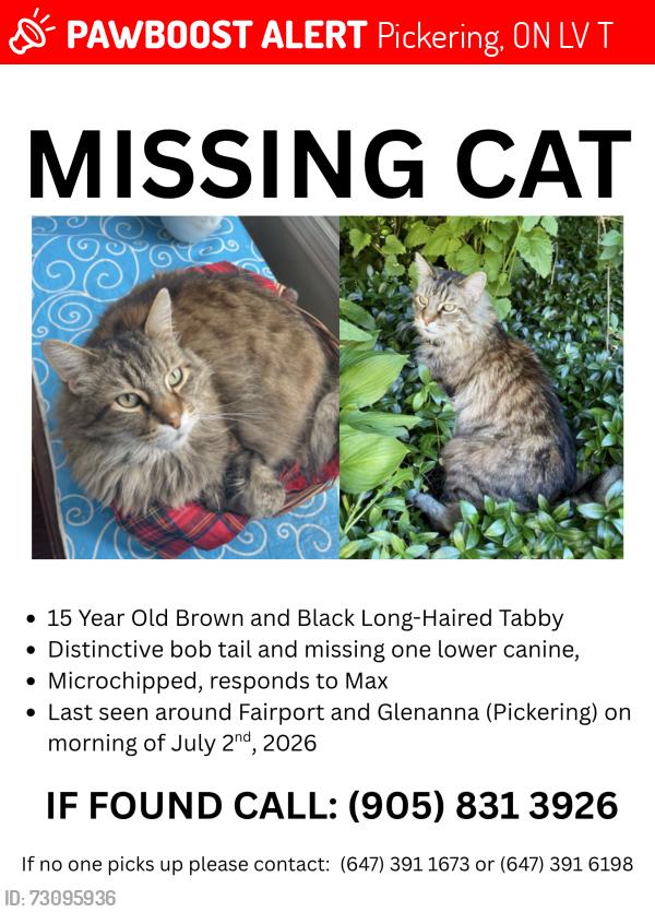 Lost Male Cat last seen Glennanna & Fairport, Pickering, ON L1V 1T5