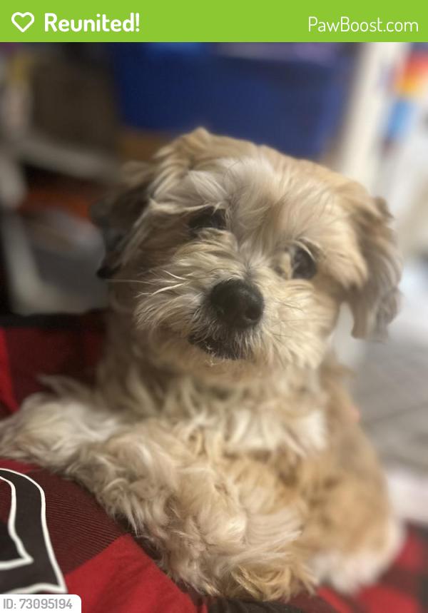 Reunited Male Dog last seen Silver springs blvd , Ocala, FL 34471