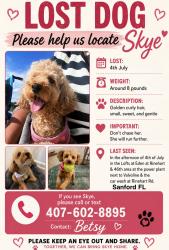 Reunited Female Dog last seen Rinehart Rd & 46th, Sanford, FL 32771