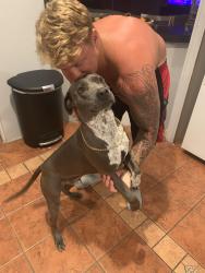 Lost Male Dog last seen Last seen heading east on usina road, St. Augustine, FL 32084