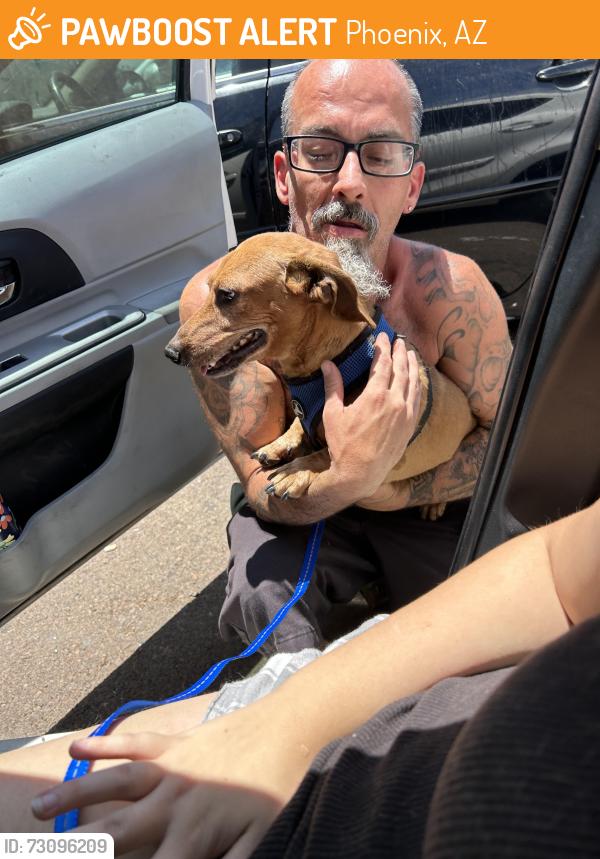 Found/Stray Unknown Dog last seen 91st and Indian school, Phoenix, AZ 85037