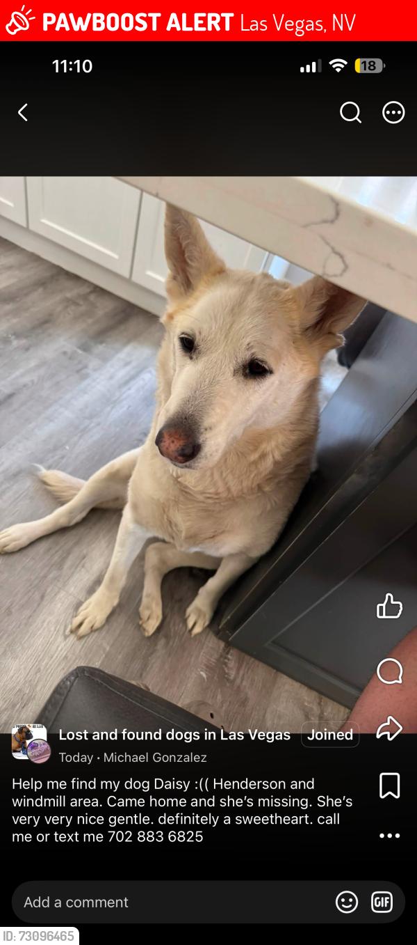 Lost Female Dog last seen Maryland and windmill, Las Vegas, NV 89123