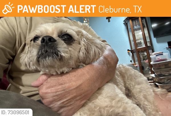 Found/Stray Unknown Dog last seen Woodard Ave., Cleburne, TX 76033