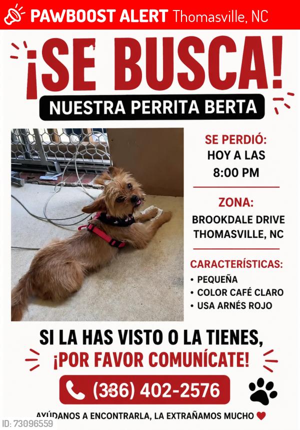 Lost Female Dog last seen Near Brookdale Drive, Thomasville, NC 27360