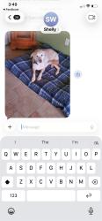 Lost Female Dog last seen Hatchers Nursery, South Point, OH 45680