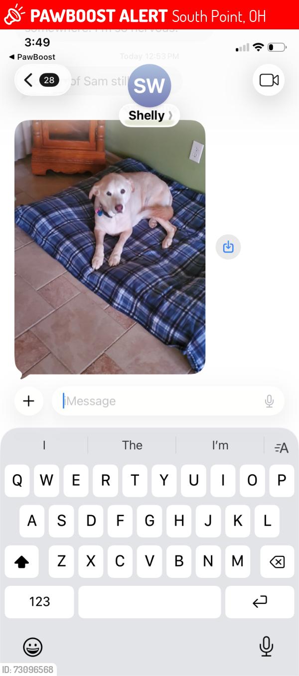 Lost Female Dog last seen Hatchers Nursery, South Point, OH 45680