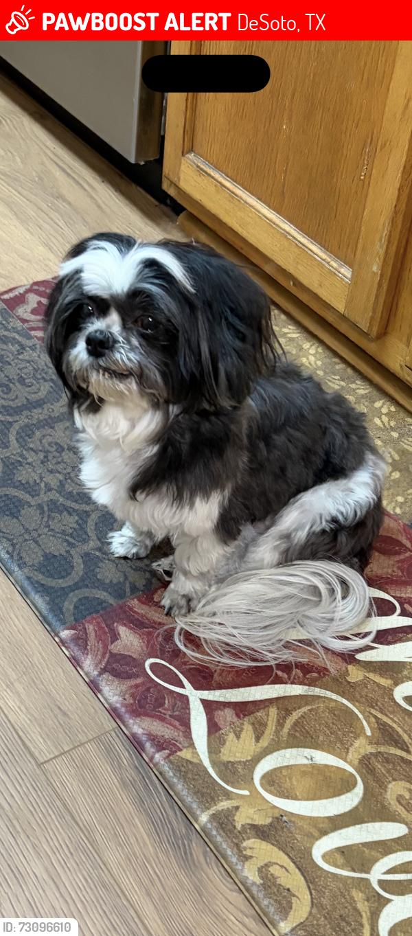 Lost Female Dog last seen Wintergreen rd & est ln, DeSoto, TX 75115