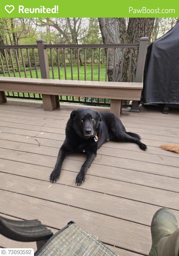 Reunited Male Dog last seen Mill Creek Road Hockessin Delaware, Hockessin, DE 19707