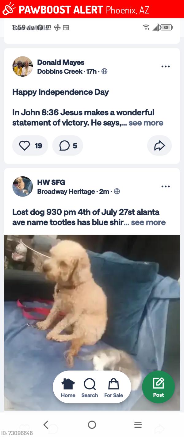 Lost Male Dog last seen east 27 st Atlanta, Phoenix, AZ 85040