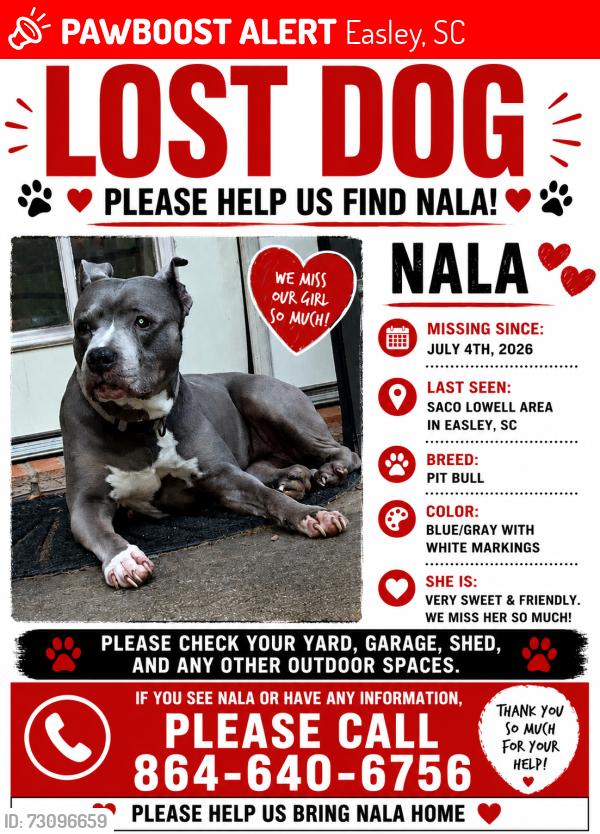 Lost Male Dog last seen Saco Lowell rd, Easley, SC 29640