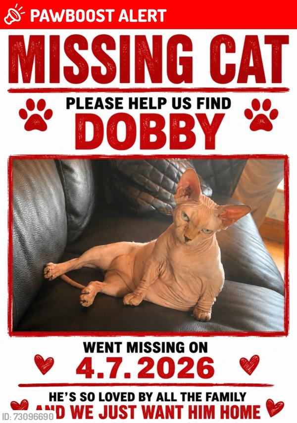 Lost Male Cat last seen Ha3 6ra , Greater London, England HA3 6RA