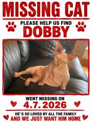 Lost Male Cat last seen Ha3 6ra , Greater London, England HA3 6RA