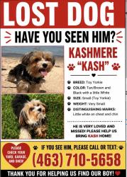 Lost Male Dog last seen Neighborhood, Merrillville, IN 46410