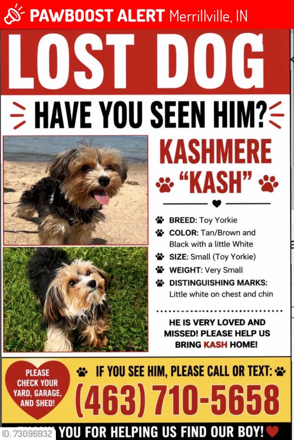 Lost Male Dog last seen Neighborhood, Merrillville, IN 46410