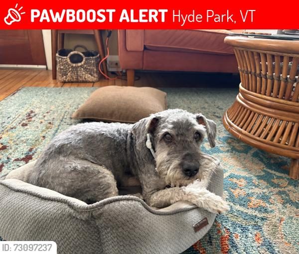 Lost Male Dog last seen Near VT 100, Hyde Park, VT 05655