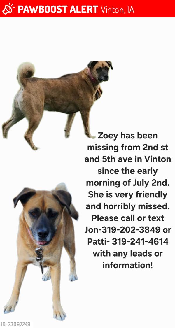 Lost Female Dog last seen 2nd st and 5th ave by the river, Vinton, IA 52349