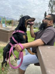 Lost Female Dog last seen 8th & w Wilson st, Banning, CA 92220
