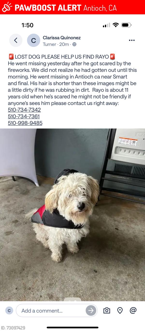 Lost Male Dog last seen Antioch ca, Antioch, CA 94509